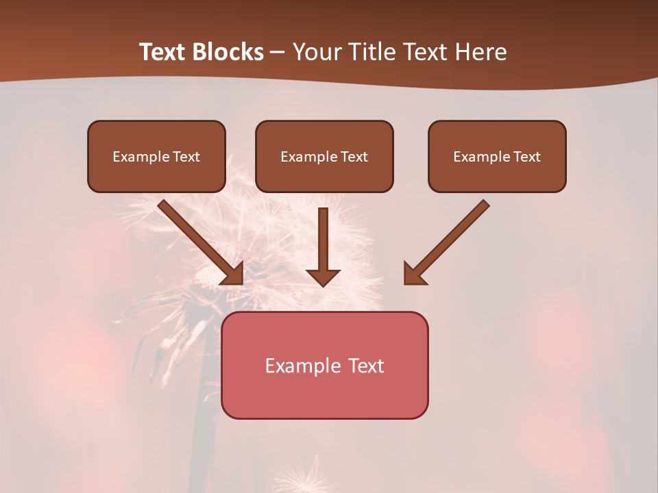 A Dandelion Powerpoint Presentation Is Shown PowerPoint Template