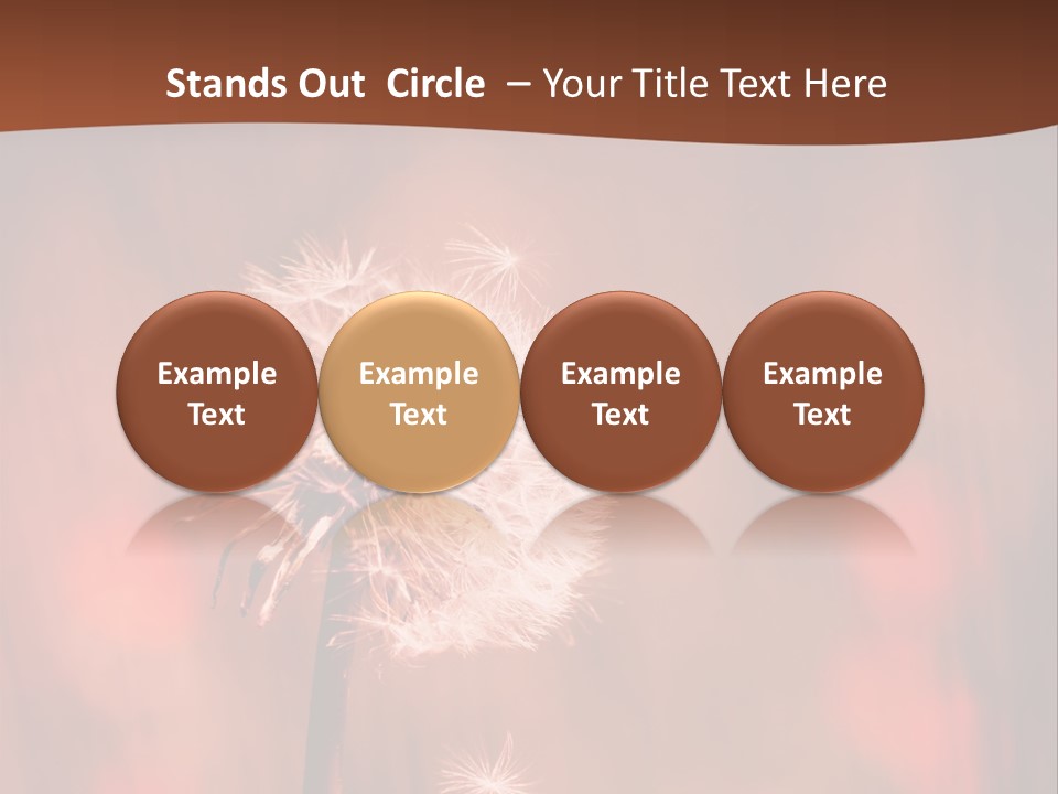 A Dandelion Powerpoint Presentation Is Shown PowerPoint Template