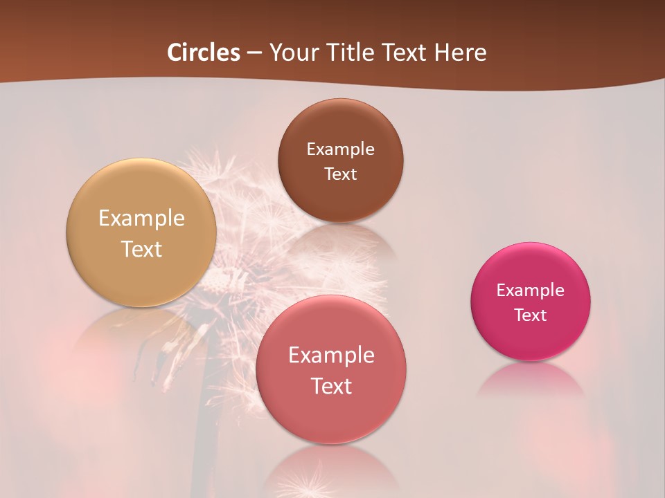 A Dandelion Powerpoint Presentation Is Shown PowerPoint Template