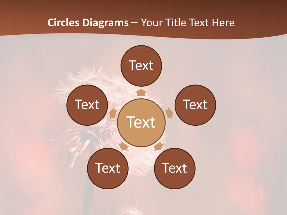 A Dandelion Powerpoint Presentation Is Shown PowerPoint Template