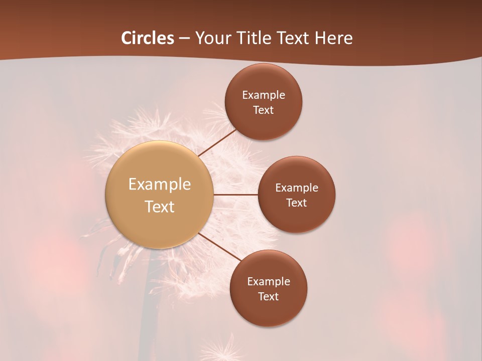 A Dandelion Powerpoint Presentation Is Shown PowerPoint Template