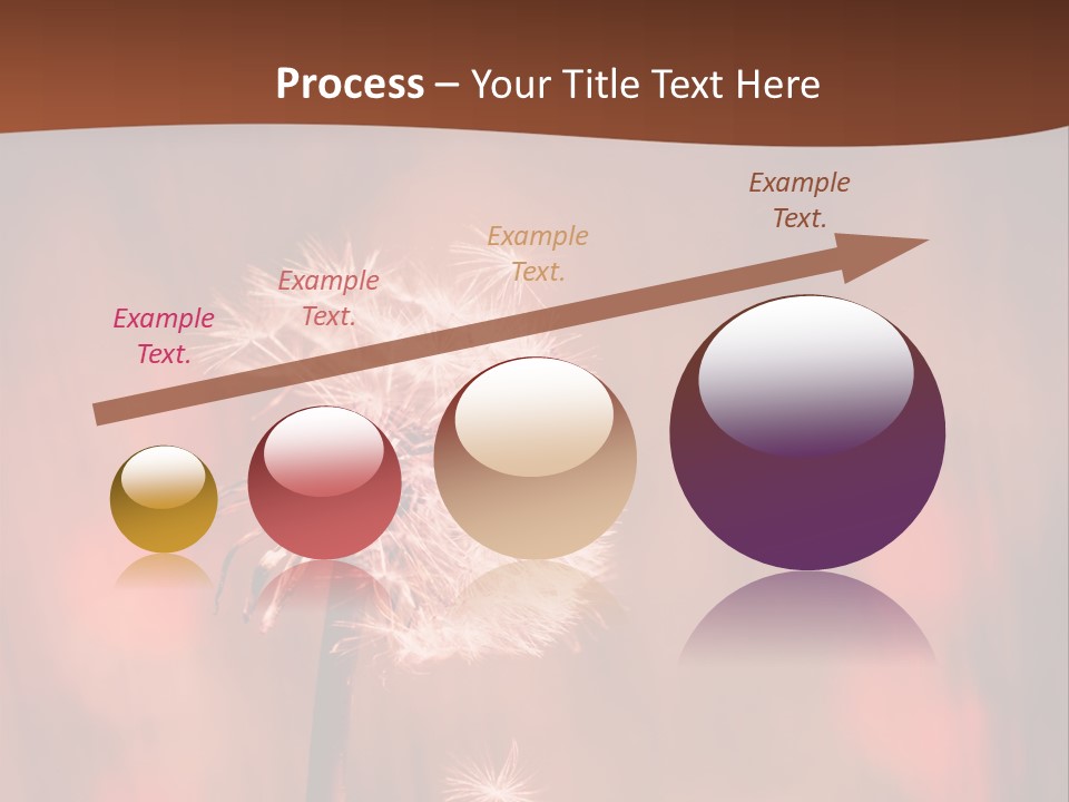 A Dandelion Powerpoint Presentation Is Shown PowerPoint Template
