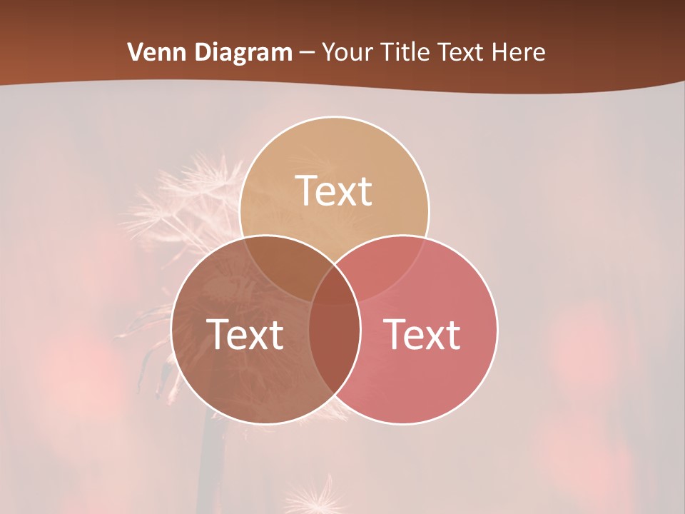 A Dandelion Powerpoint Presentation Is Shown PowerPoint Template