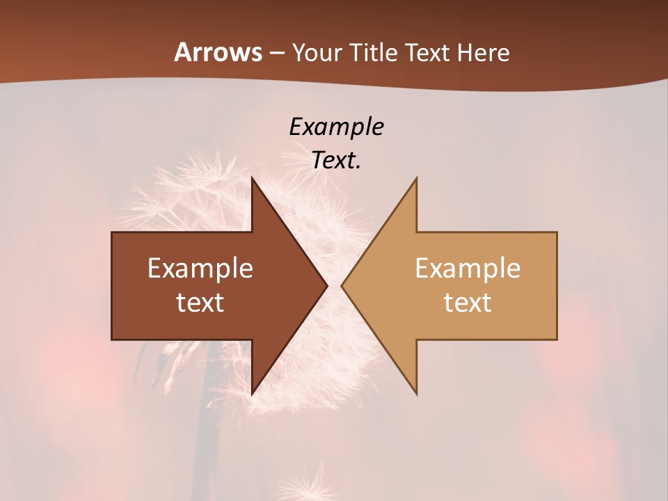 A Dandelion Powerpoint Presentation Is Shown PowerPoint Template