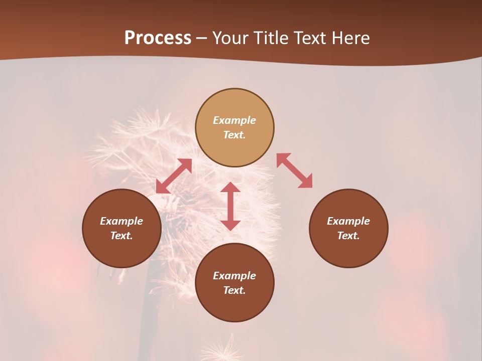 A Dandelion Powerpoint Presentation Is Shown PowerPoint Template
