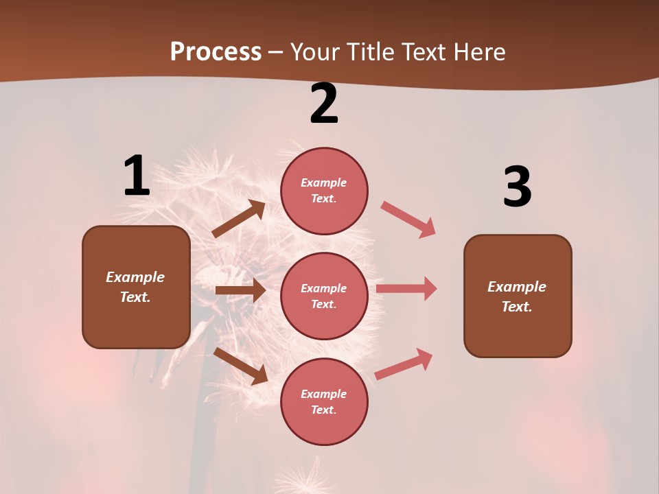 A Dandelion Powerpoint Presentation Is Shown PowerPoint Template