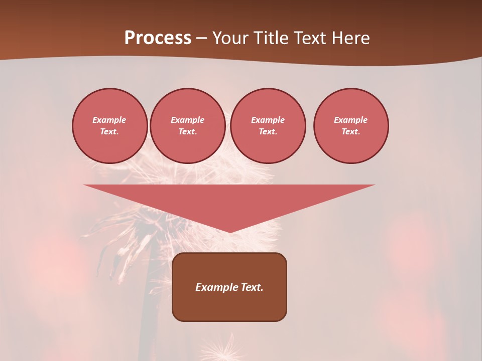 A Dandelion Powerpoint Presentation Is Shown PowerPoint Template