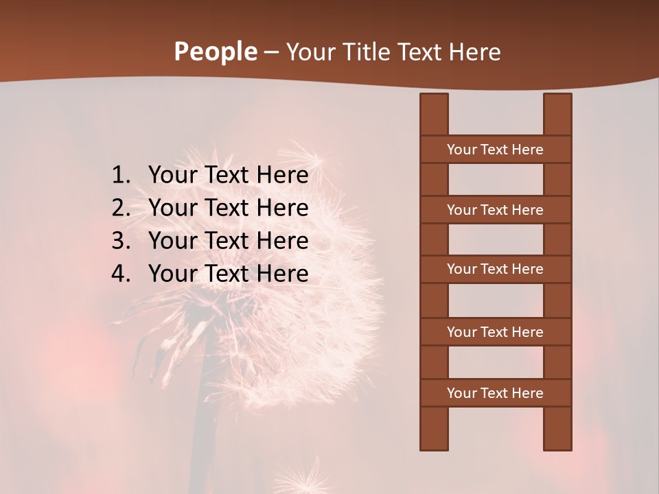 A Dandelion Powerpoint Presentation Is Shown PowerPoint Template
