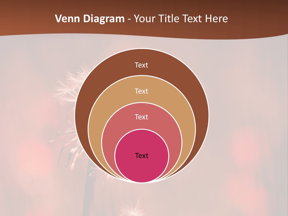 A Dandelion Powerpoint Presentation Is Shown PowerPoint Template