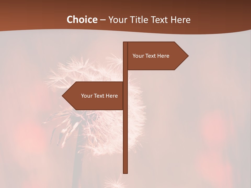 A Dandelion Powerpoint Presentation Is Shown PowerPoint Template
