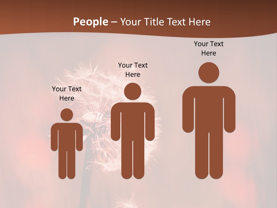 A Dandelion Powerpoint Presentation Is Shown PowerPoint Template