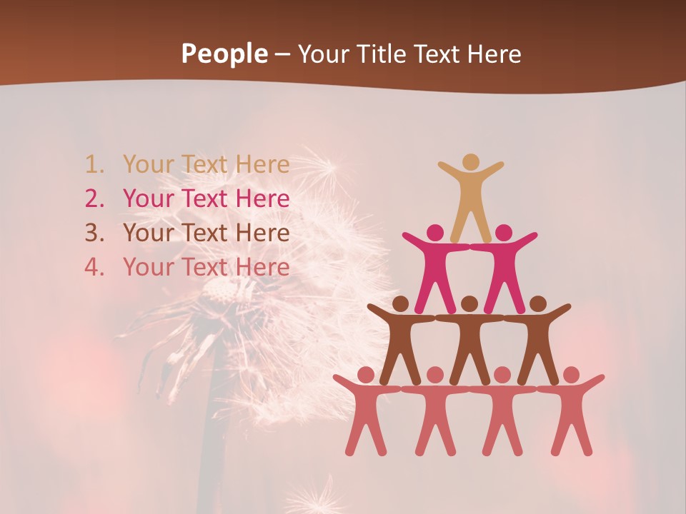 A Dandelion Powerpoint Presentation Is Shown PowerPoint Template