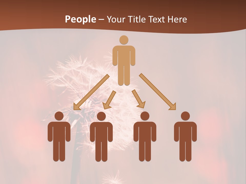 A Dandelion Powerpoint Presentation Is Shown PowerPoint Template