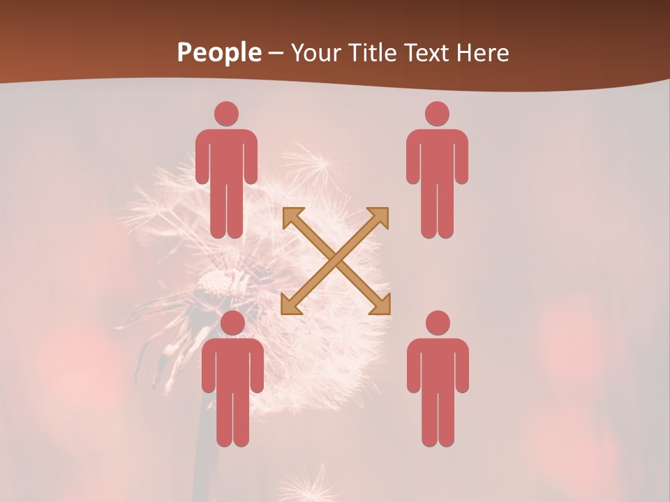 A Dandelion Powerpoint Presentation Is Shown PowerPoint Template