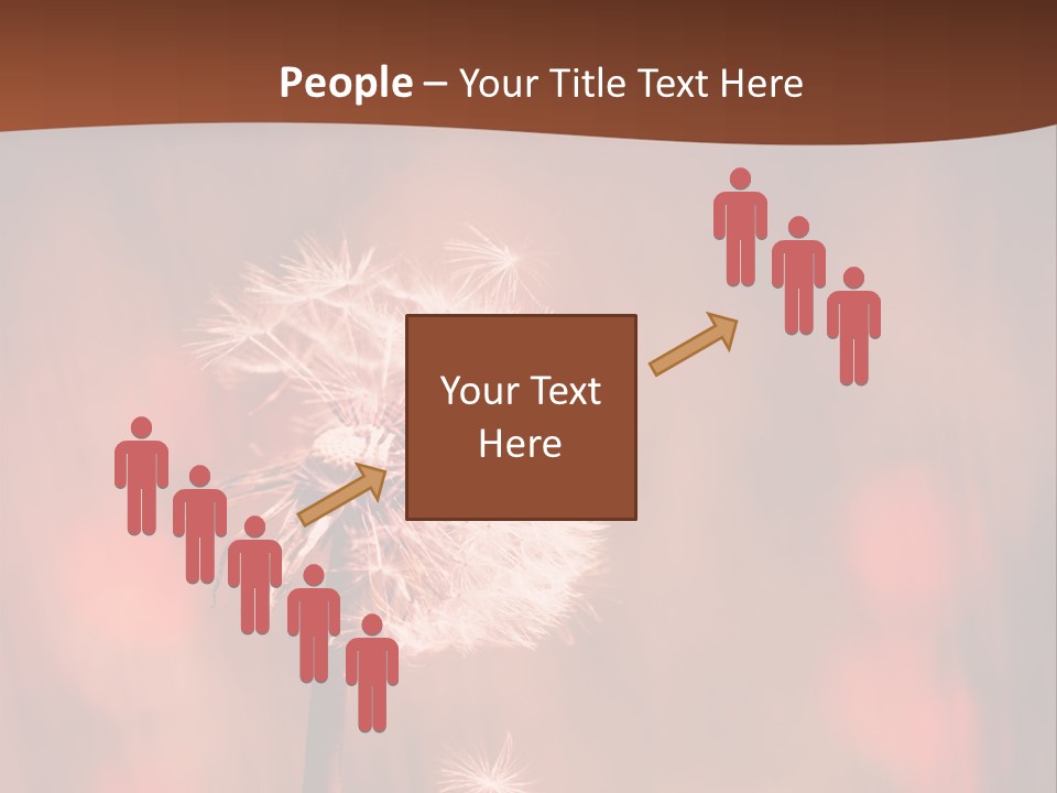 A Dandelion Powerpoint Presentation Is Shown PowerPoint Template
