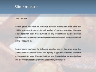 A Plate Of Food With Bananas And Bacon On It PowerPoint Template