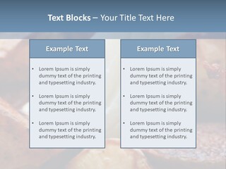 A Plate Of Food With Bananas And Bacon On It PowerPoint Template