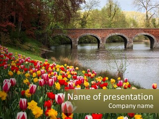 A Bridge Over A River With Lots Of Flowers In Front Of It PowerPoint Template