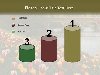 A Bridge Over A River With Lots Of Flowers In Front Of It PowerPoint Template