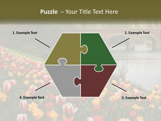 A Bridge Over A River With Lots Of Flowers In Front Of It PowerPoint Template