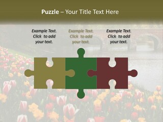 A Bridge Over A River With Lots Of Flowers In Front Of It PowerPoint Template