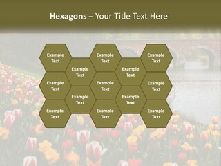 A Bridge Over A River With Lots Of Flowers In Front Of It PowerPoint Template