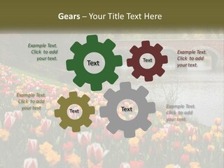 A Bridge Over A River With Lots Of Flowers In Front Of It PowerPoint Template