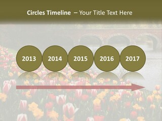 A Bridge Over A River With Lots Of Flowers In Front Of It PowerPoint Template