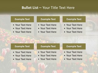 A Bridge Over A River With Lots Of Flowers In Front Of It PowerPoint Template