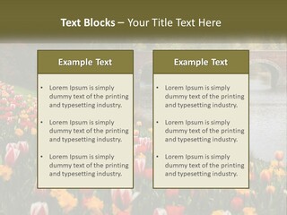A Bridge Over A River With Lots Of Flowers In Front Of It PowerPoint Template