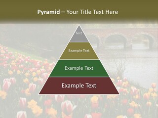 A Bridge Over A River With Lots Of Flowers In Front Of It PowerPoint Template