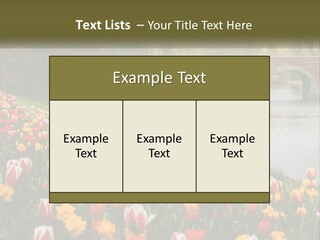 A Bridge Over A River With Lots Of Flowers In Front Of It PowerPoint Template
