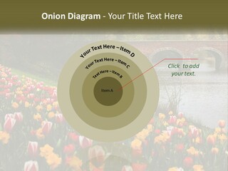 A Bridge Over A River With Lots Of Flowers In Front Of It PowerPoint Template