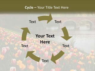 A Bridge Over A River With Lots Of Flowers In Front Of It PowerPoint Template