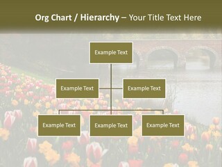 A Bridge Over A River With Lots Of Flowers In Front Of It PowerPoint Template
