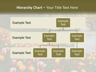 A Bridge Over A River With Lots Of Flowers In Front Of It PowerPoint Template