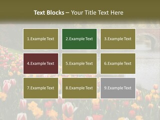 A Bridge Over A River With Lots Of Flowers In Front Of It PowerPoint Template