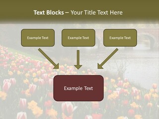 A Bridge Over A River With Lots Of Flowers In Front Of It PowerPoint Template
