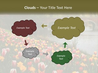 A Bridge Over A River With Lots Of Flowers In Front Of It PowerPoint Template