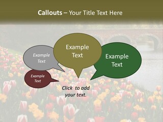 A Bridge Over A River With Lots Of Flowers In Front Of It PowerPoint Template