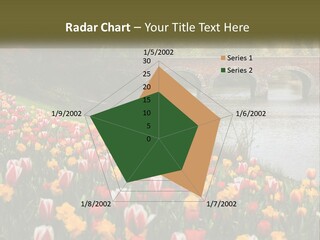 A Bridge Over A River With Lots Of Flowers In Front Of It PowerPoint Template