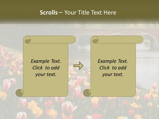 A Bridge Over A River With Lots Of Flowers In Front Of It PowerPoint Template