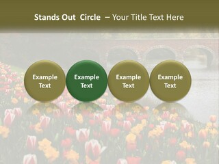 A Bridge Over A River With Lots Of Flowers In Front Of It PowerPoint Template