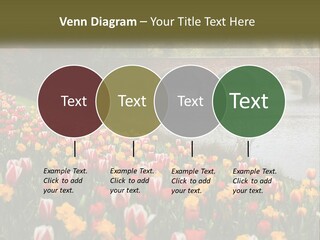 A Bridge Over A River With Lots Of Flowers In Front Of It PowerPoint Template