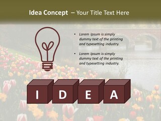 A Bridge Over A River With Lots Of Flowers In Front Of It PowerPoint Template