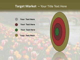 A Bridge Over A River With Lots Of Flowers In Front Of It PowerPoint Template