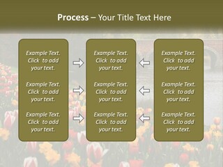 A Bridge Over A River With Lots Of Flowers In Front Of It PowerPoint Template