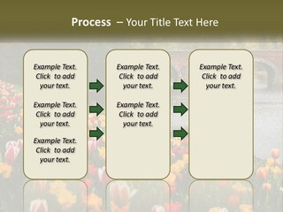A Bridge Over A River With Lots Of Flowers In Front Of It PowerPoint Template