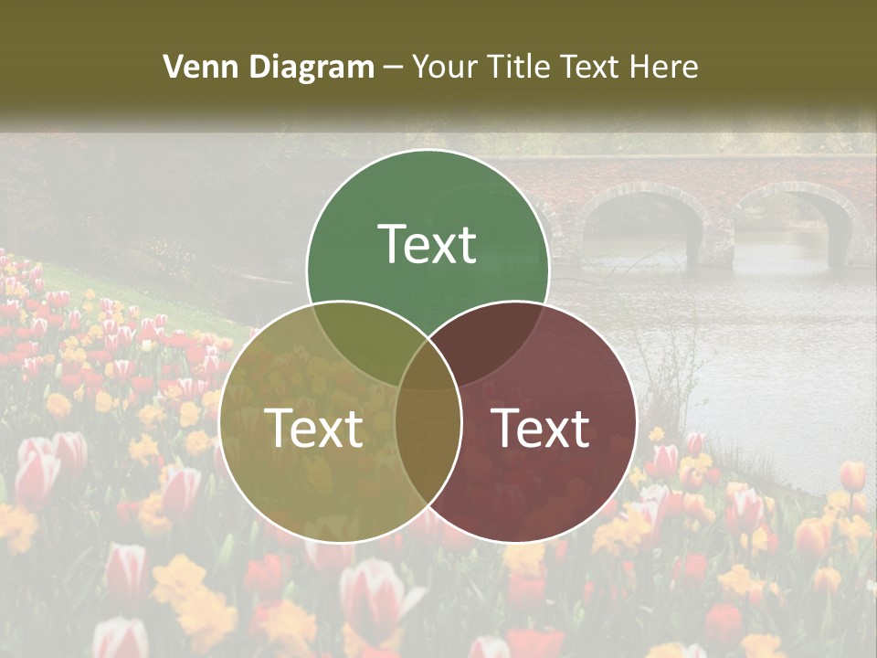 A Bridge Over A River With Lots Of Flowers In Front Of It PowerPoint Template