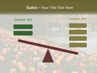 A Bridge Over A River With Lots Of Flowers In Front Of It PowerPoint Template